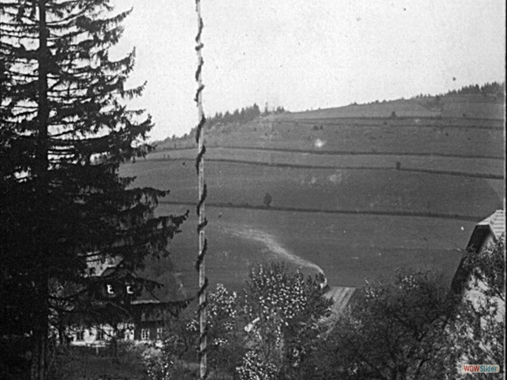 Maibaum im Jahr 1930